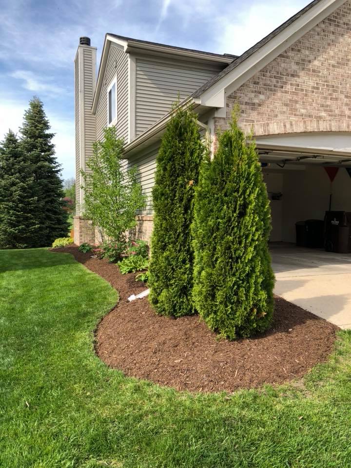 Greener Grounds Lanscape landscaping.